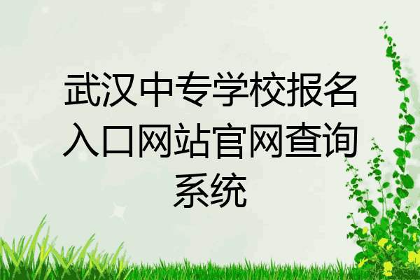 武汉中专学校报名入口网站官网查询系统