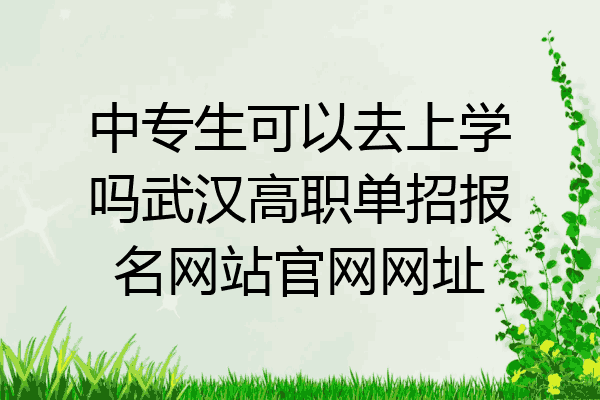 中专生可以去上学吗武汉高职单招报名网站官网网址