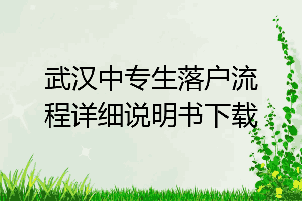 武汉中专生落户流程详细说明书下载