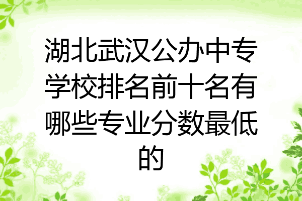 湖北武汉公办中专学校排名前十名有哪些专业分数最低的