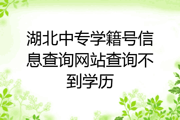 湖北中专学籍号信息查询网站查询不到学历