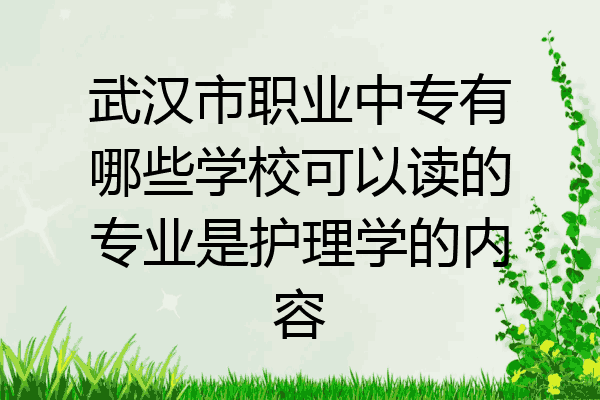 武汉市职业中专有哪些学校可以读的专业是护理学的内容