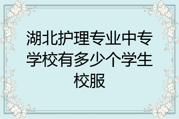 湖北护理专业中专学校有多少个学生校服