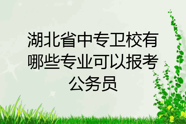 湖北省中专卫校有哪些专业可以报考公务员