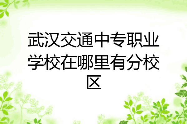 武汉交通中专职业学校在哪里有分校区