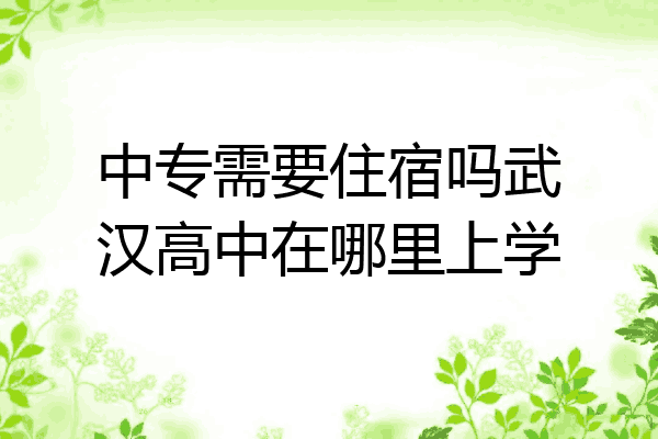 中专需要住宿吗武汉高中在哪里上学