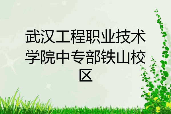 武汉工程职业技术学院中专部铁山校区