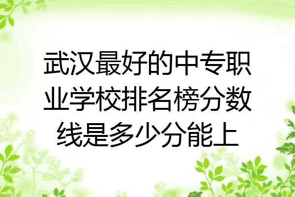 武汉最好的中专职业学校排名榜分数线是多少分能上