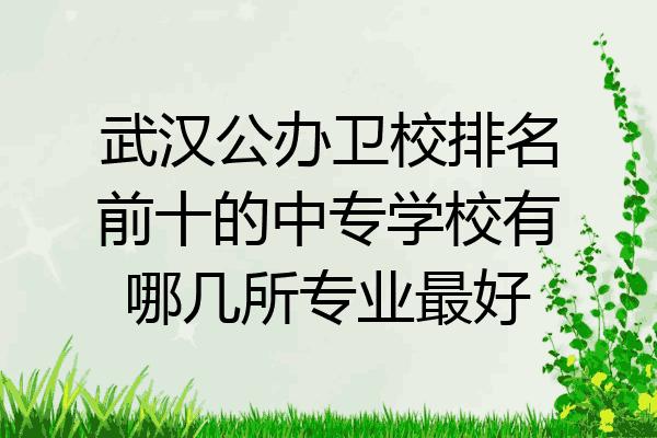 武汉公办卫校排名前十的中专学校有哪几所专业最好