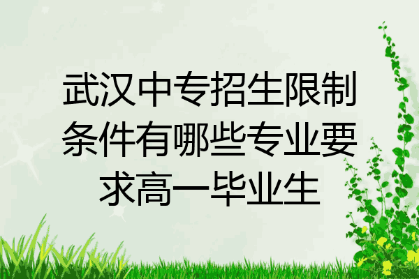 武汉中专招生限制条件有哪些专业要求高一毕业生