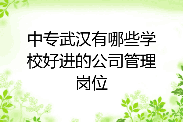 中专武汉有哪些学校好进的公司管理岗位