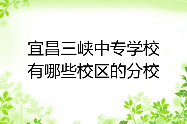 宜昌三峡中专学校有哪些校区的分校