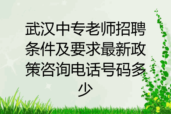 武汉中专老师招聘条件及要求最新政策咨询电话号码多少