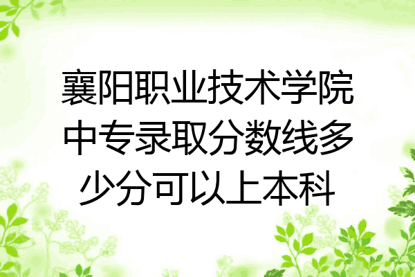 襄阳职业技术学院中专录取分数线多少分可以上本科