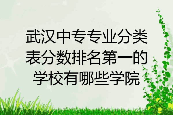 武汉中专专业分类表分数排名第一的学校有哪些学院