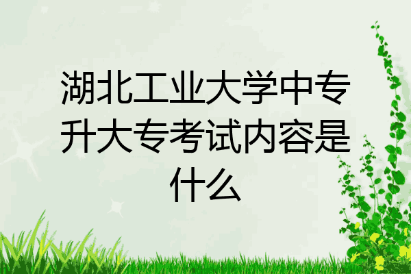 湖北工业大学中专升大专考试内容是什么