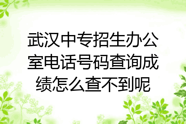 武汉中专招生办公室电话号码查询成绩怎么查不到呢