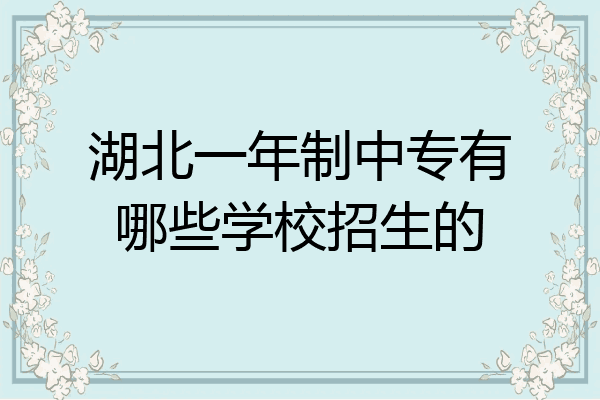 湖北一年制中专有哪些学校招生的