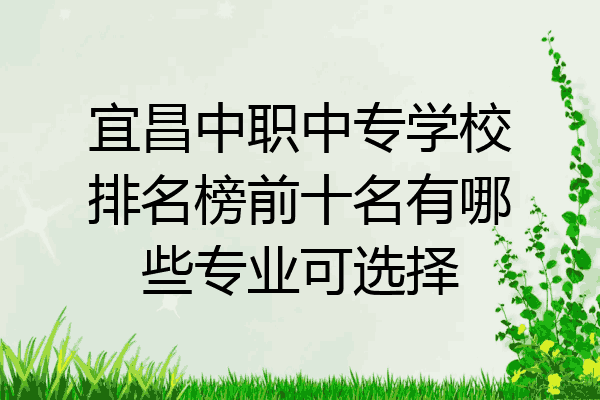 宜昌中职中专学校排名榜前十名有哪些专业可选择