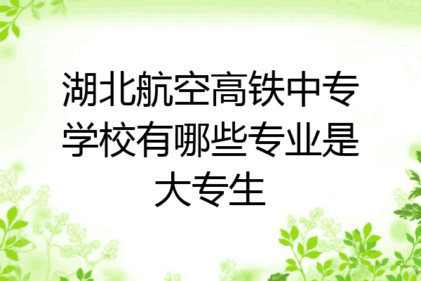 湖北航空高铁中专学校有哪些专业是大专生
