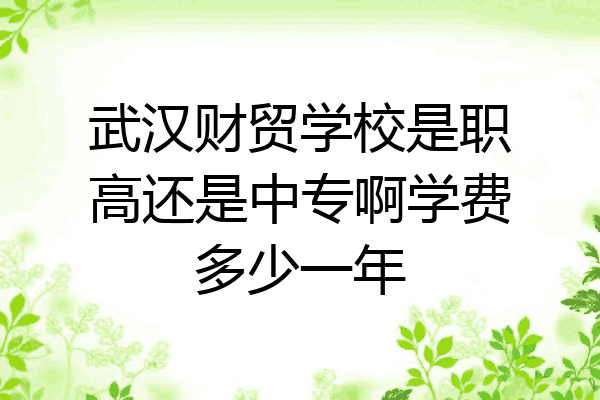 武汉财贸学校是职高还是中专啊学费多少一年