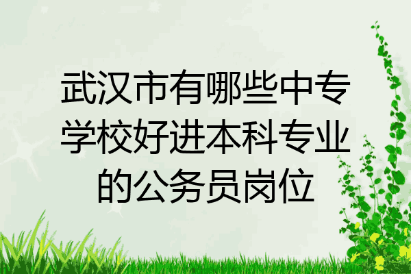 武汉市有哪些中专学校好进本科专业的公务员岗位