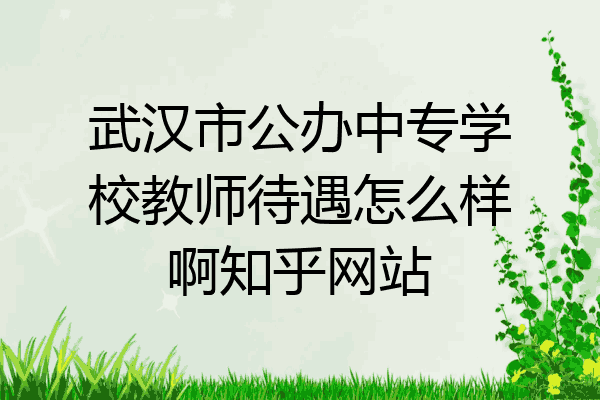 武汉市公办中专学校教师待遇怎么样啊知乎网站