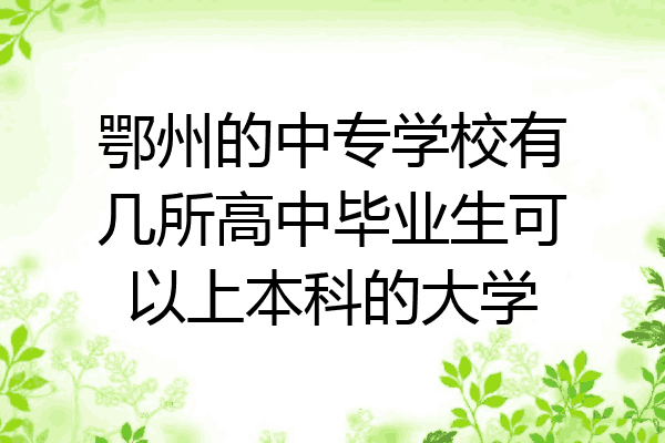 鄂州的中专学校有几所高中毕业生可以上本科的大学