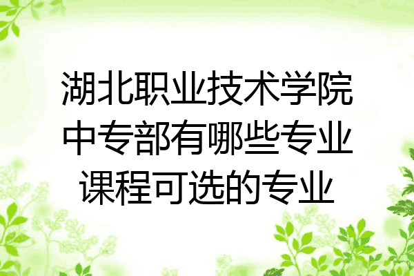 湖北职业技术学院中专部有哪些专业课程可选的专业