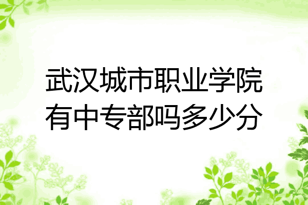 武汉城市职业学院有中专部吗多少分