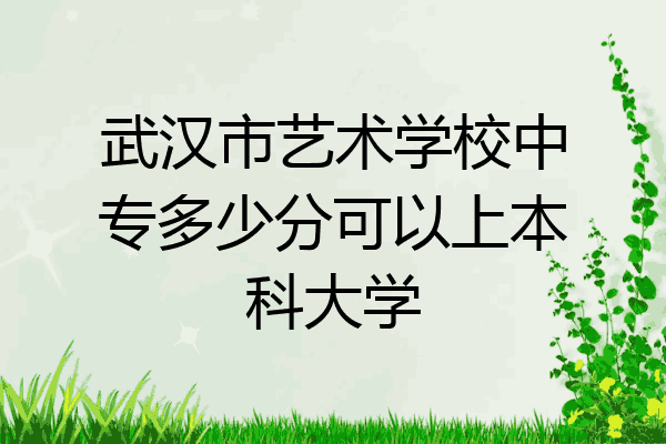 武汉市艺术学校中专多少分可以上本科大学