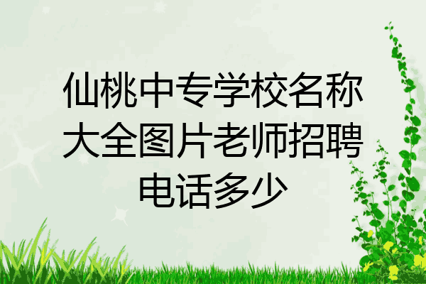 仙桃中专学校名称大全图片老师招聘电话多少
