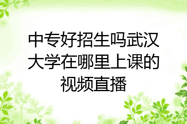 中专好招生吗武汉大学在哪里上课的视频直播