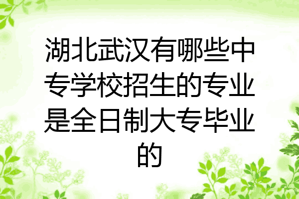 湖北武汉有哪些中专学校招生的专业是全日制大专毕业的