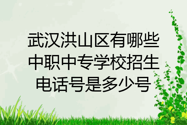 武汉洪山区有哪些中职中专学校招生电话号是多少号