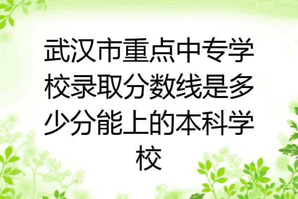 武汉市重点中专学校录取分数线是多少分能上的本科学校