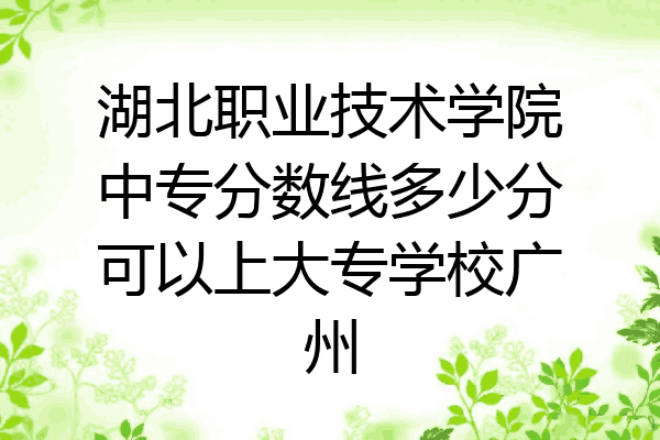 湖北职业技术学院中专分数线多少分可以上大专学校广州