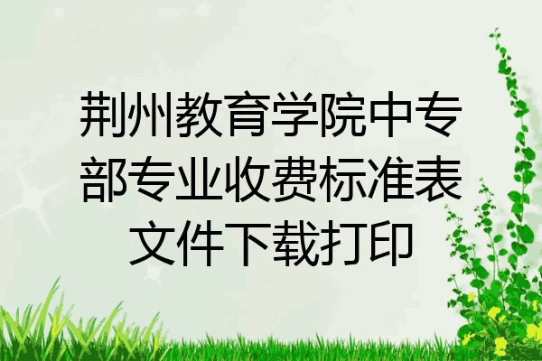 荆州教育学院中专部专业收费标准表文件下载打印