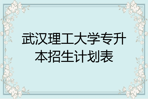 武汉理工大学专升本招生计划表