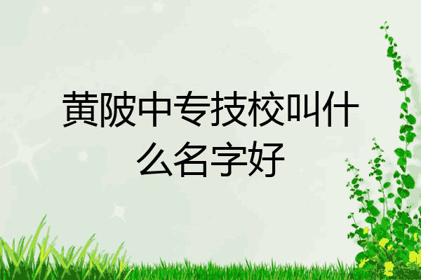 黄陂中专技校叫什么名字好