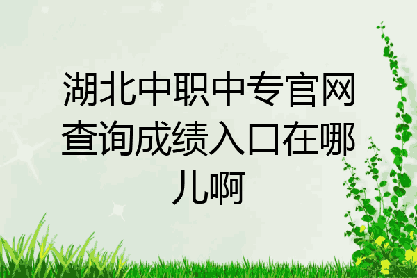 湖北中职中专官网查询成绩入口在哪儿啊