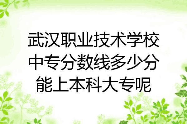 武汉职业技术学校中专分数线多少分能上本科大专呢
