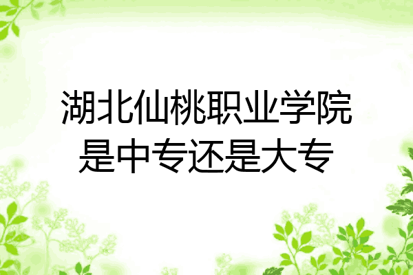 湖北仙桃职业学院是中专还是大专