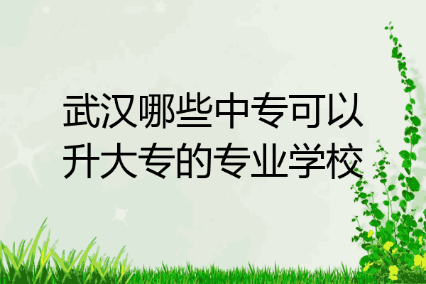 武汉哪些中专可以升大专的专业学校