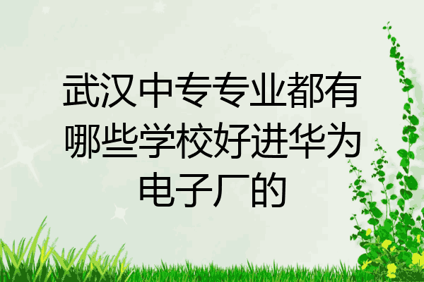 武汉中专专业都有哪些学校好进华为电子厂的