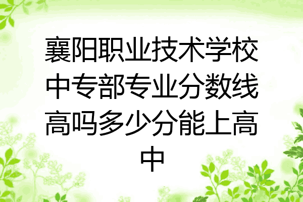 襄阳职业技术学校中专部专业分数线高吗多少分能上高中