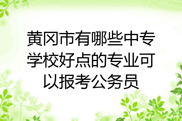黄冈市有哪些中专学校好点的专业可以报考公务员