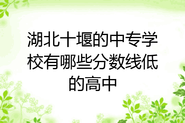 湖北十堰的中专学校有哪些分数线低的高中