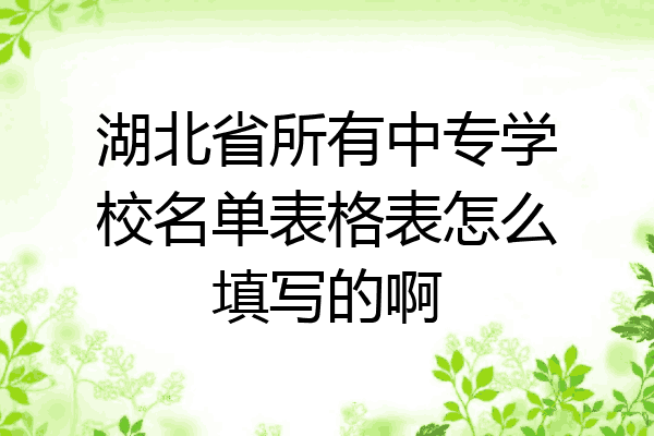 湖北省所有中专学校名单表格表怎么填写的啊