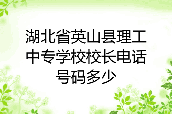 湖北省英山县理工中专学校校长电话号码多少